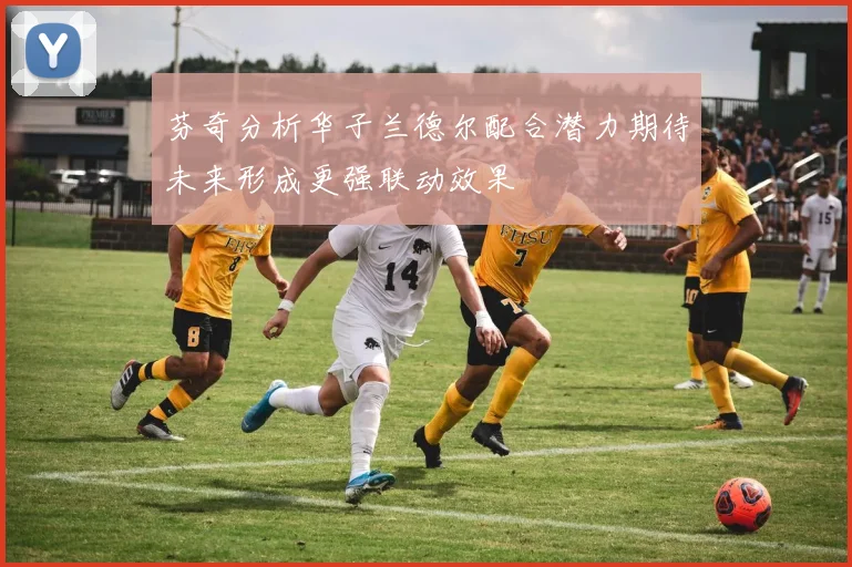 芬奇分析华子兰德尔配合潜力期待未来形成更强联动效果